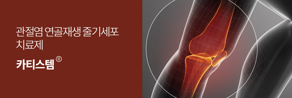 관절염 연골재생 줄기세포 치료제 카티스템
